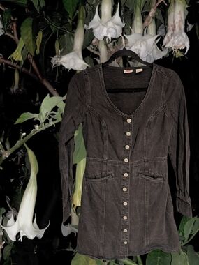 Levi's Black Long Sleeve Button-Front Dress